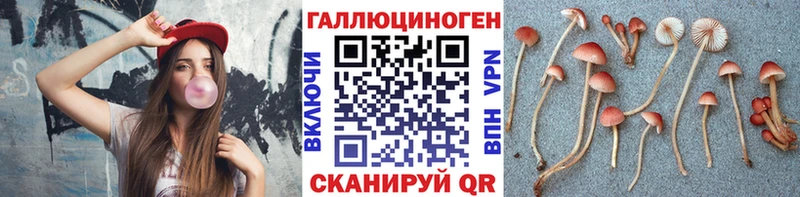 Галлюциногенные грибы ЛСД  Печора 